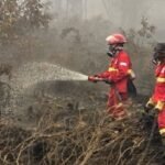 Kalimantan kebakaran, Kemenhut, BMKG, hingga BNPB berjibaku tanggulangi kondisi darurat dan siaga di lapangan./IG @kemenhut