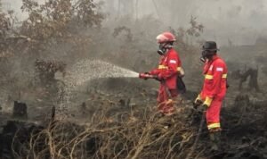 Kalimantan kebakaran, Kemenhut, BMKG, hingga BNPB berjibaku tanggulangi kondisi darurat dan siaga di lapangan./IG @kemenhut
